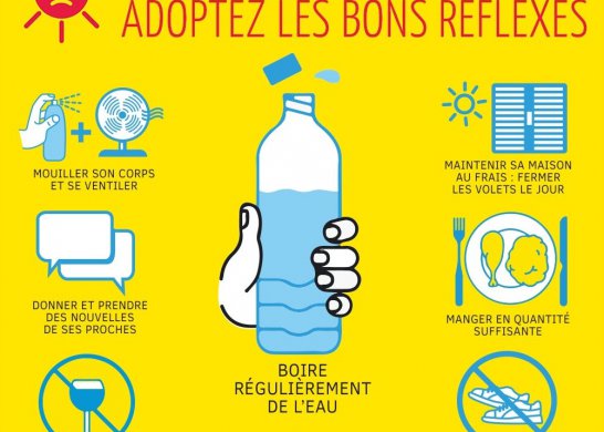 CANICULE