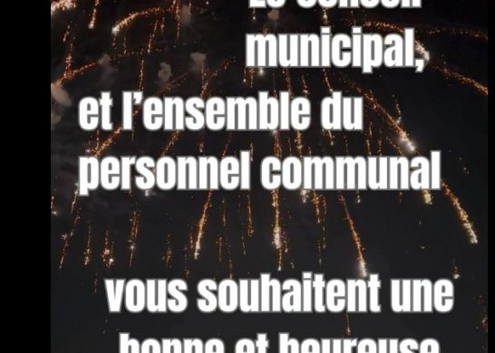 MEILLEURS VOEUX 2026